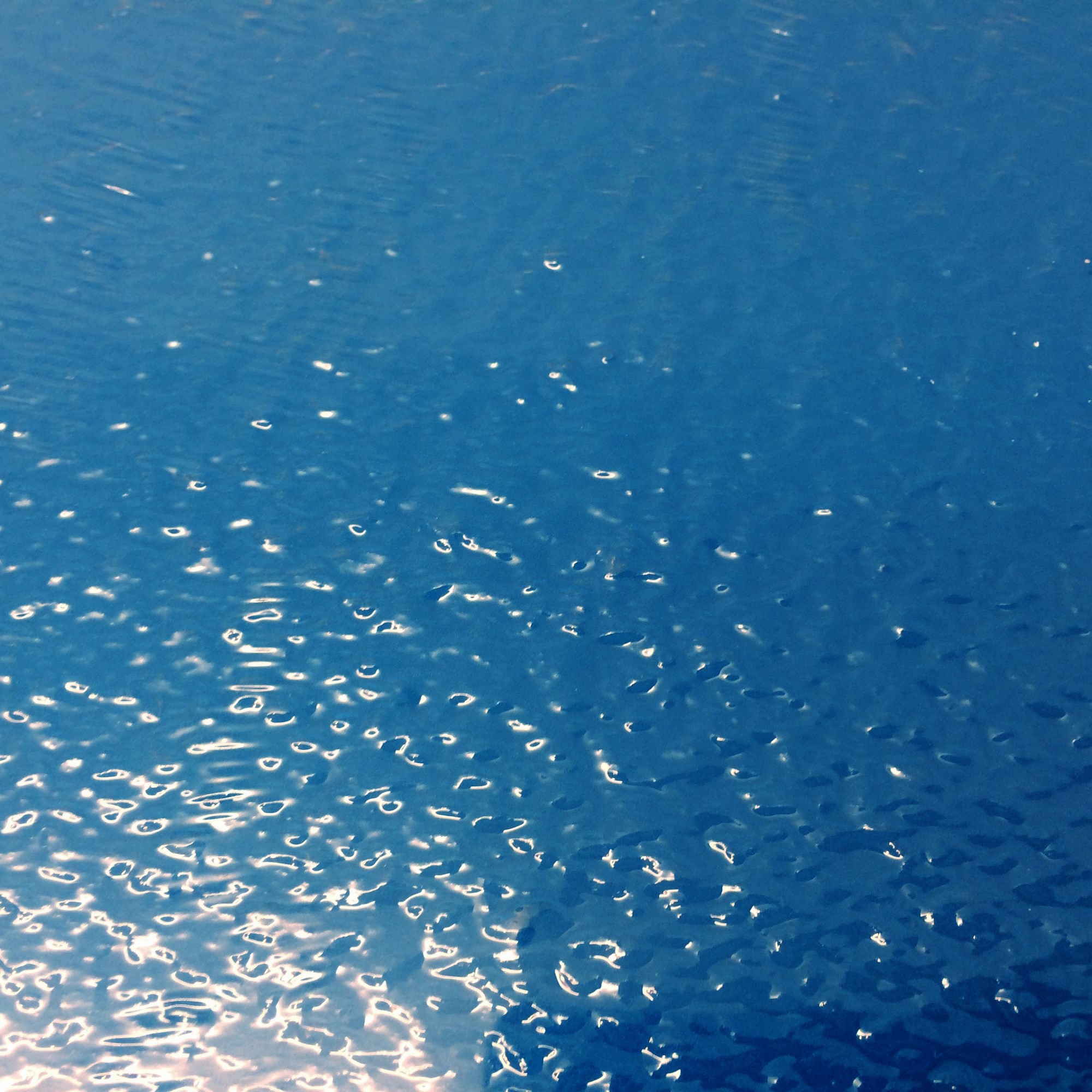 Décor : Feuille de lac, transparente - NOCH 60852 - Paris Modélisme