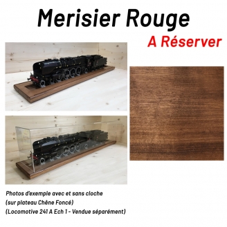 Banc d'Essai et de Présentation 900 / Cloche - G 1/22.5 et 1  1/32 - NOVATEUR 10011