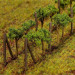 Vignes HO FALLER 181254 modelisme ferroviaire  neuf FALLER