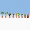 9 Plantes / arbustes en pots - N 1/160 - NOCH 14082