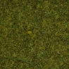 Sachet d'herbe des prés 4 mm - 20g-Toutes échelles-NOCH 08361