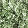 Tapis de fleurs blanches 95 x 150 mm - Auhagen 76933