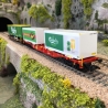 Coffret Wagon poche AAE Carlsberg Tuborg Ep VI-HO 1/87-MARKLIN 47109