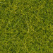 Sachet d'herbe vert Clair 4 mm - 20g-Toutes échelles-NOCH 08363