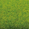 Tapis d'herbe "printemps" 200 cm x 100 cm-HO 1/87-NOCH 00010