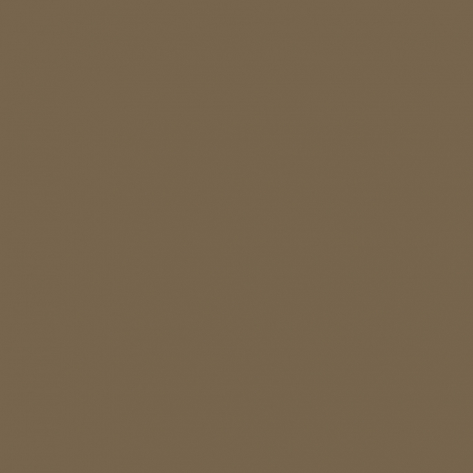 Peinture Terre marron "IJA" 17 ml - PRINCE AUGUST P136