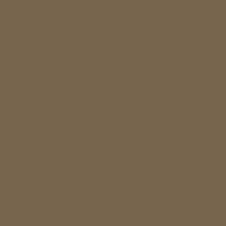 Peinture Terre marron "IJA" 17 ml - PRINCE AUGUST P136