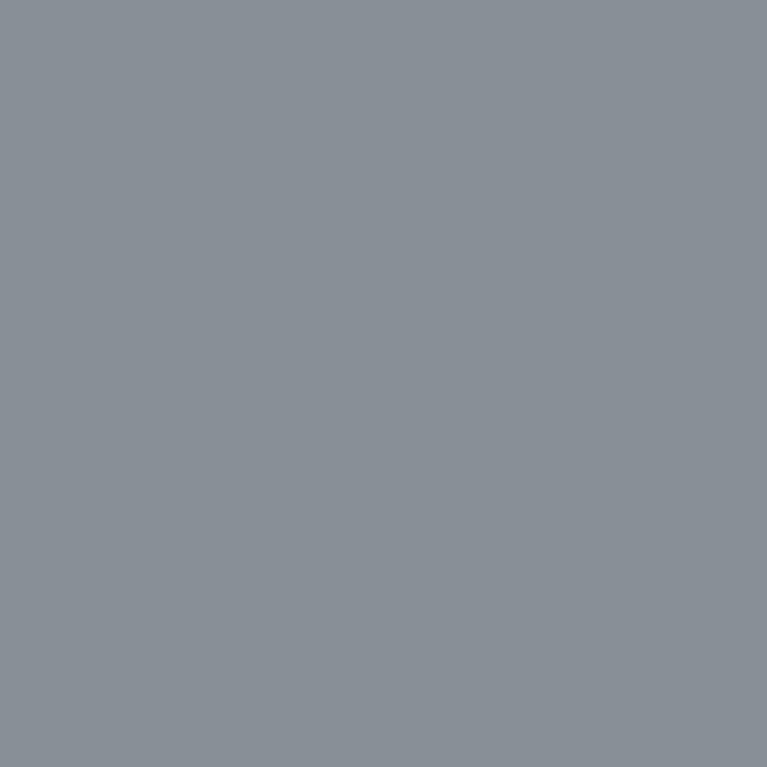 Peinture Light Ghost Grey 17 ml - PRINCE AUGUST P050