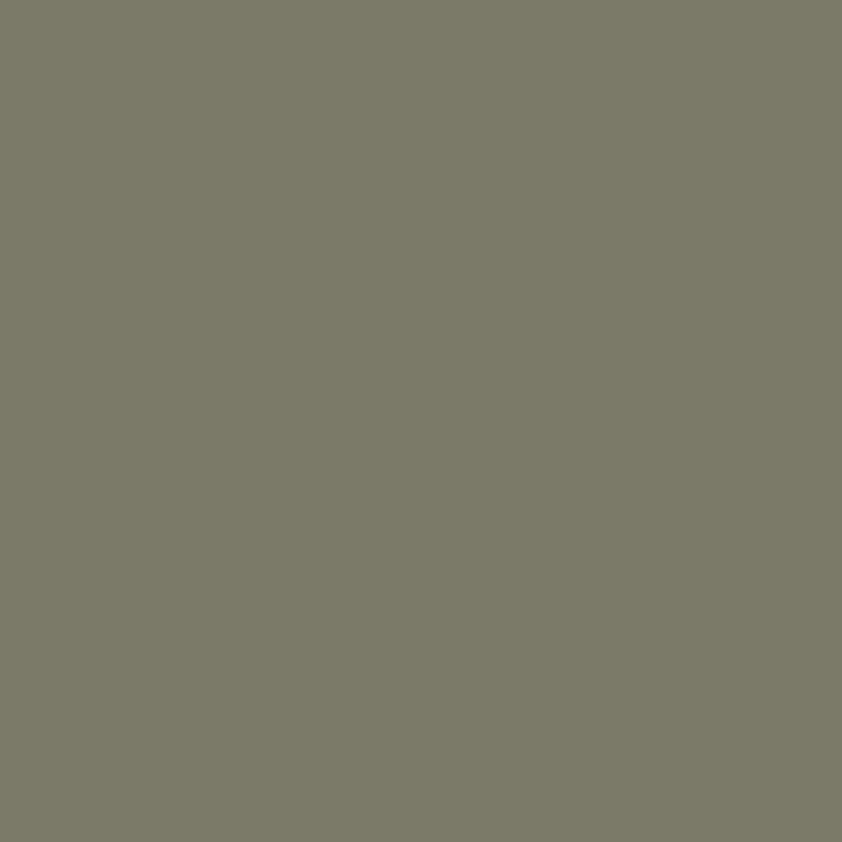 Peinture Gris Vert Clair 17 ml - PRINCE AUGUST P044