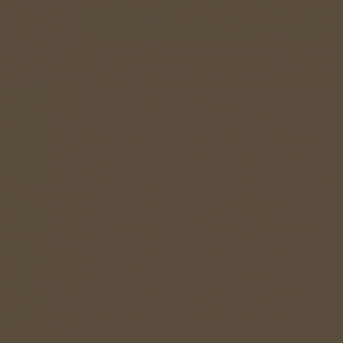 Peinture Brun Moyen 17 ml - PRINCE AUGUST P038
