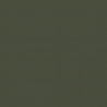 Peinture Vert Camouflage 17 ml - PRINCE AUGUST P022