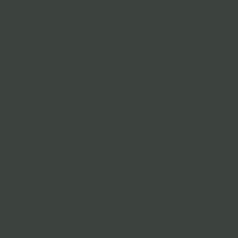 Peinture Vert Noir 17 ml - PRINCE AUGUST P021