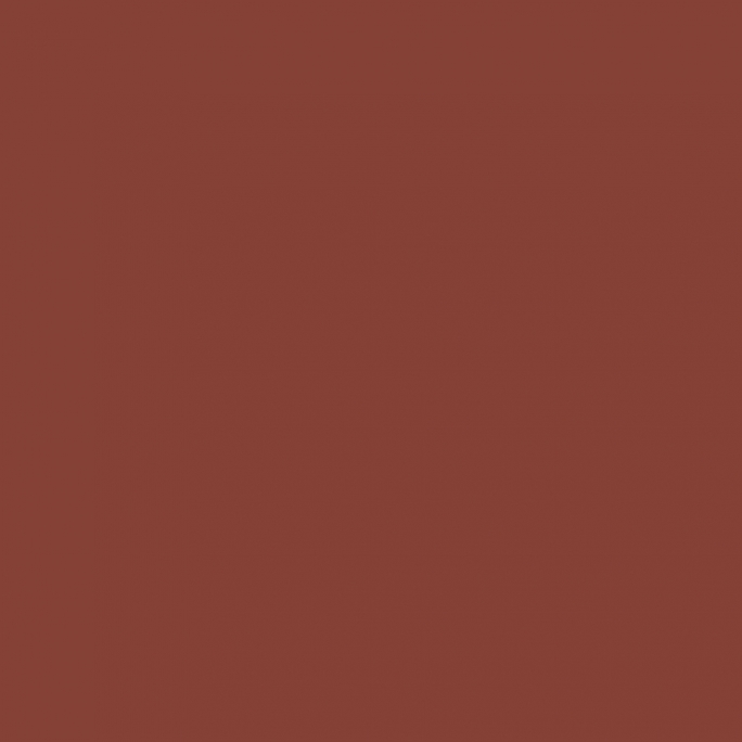 Peinture Marron 17 ml - PRINCE AUGUST P105