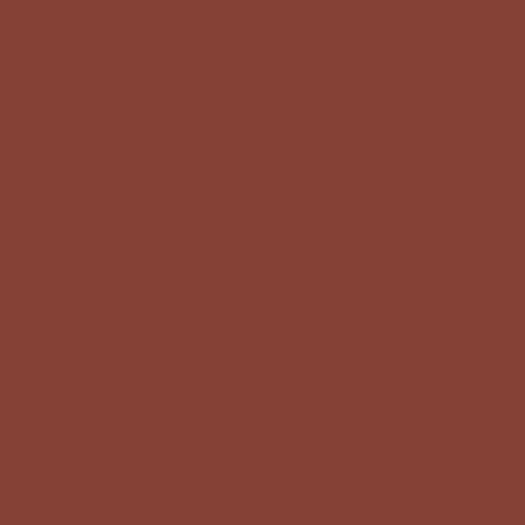 Peinture Marron 17 ml - PRINCE AUGUST P105