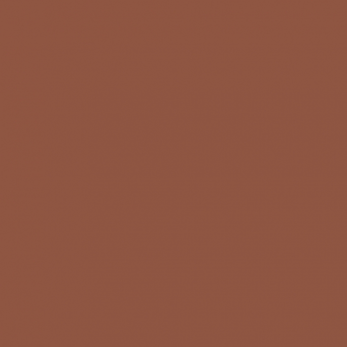 Peinture Acrylique, 17ml, Cuir Rouge - PRINCE AUGUST P818