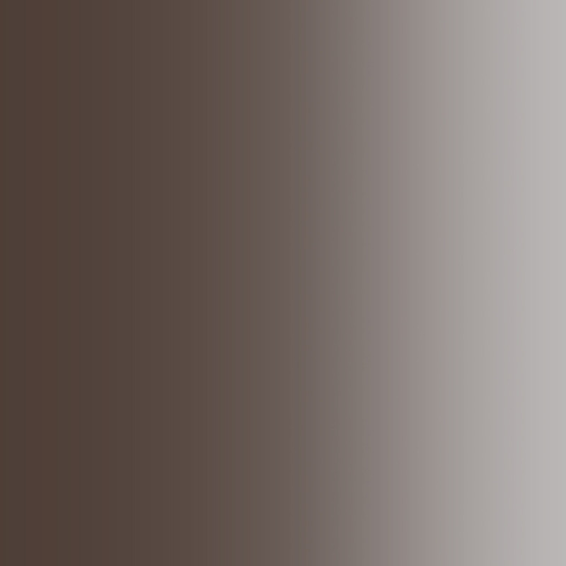 Peinture Acrylique, 17ml, Acajou Transparent - PRINCE AUGUST P828
