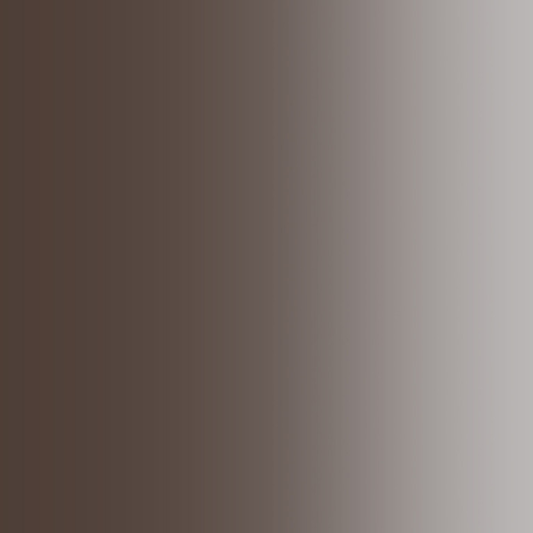 Peinture Acrylique, 17ml, Acajou Transparent - PRINCE AUGUST P828