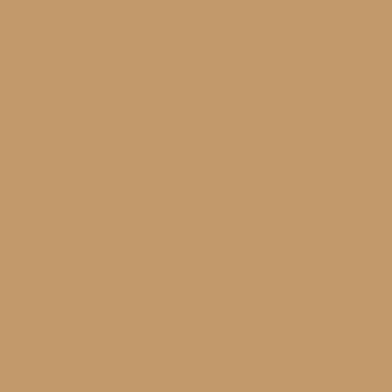Peinture Acrylique, 17ml, Marron Jaune - PRINCE AUGUST P912