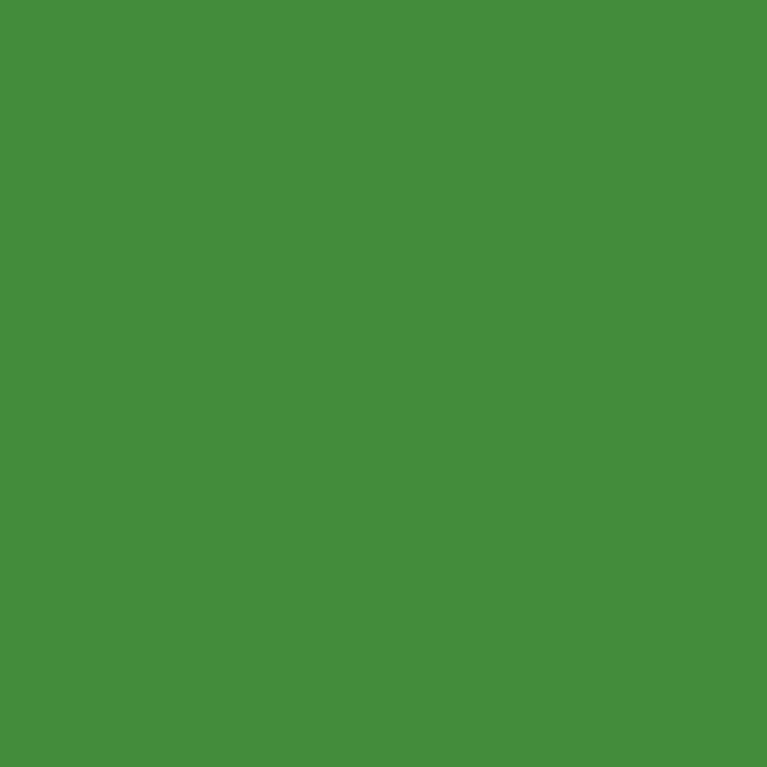 Peinture Acrylique, 17ml, Vert Moyen - PRINCE AUGUST P891