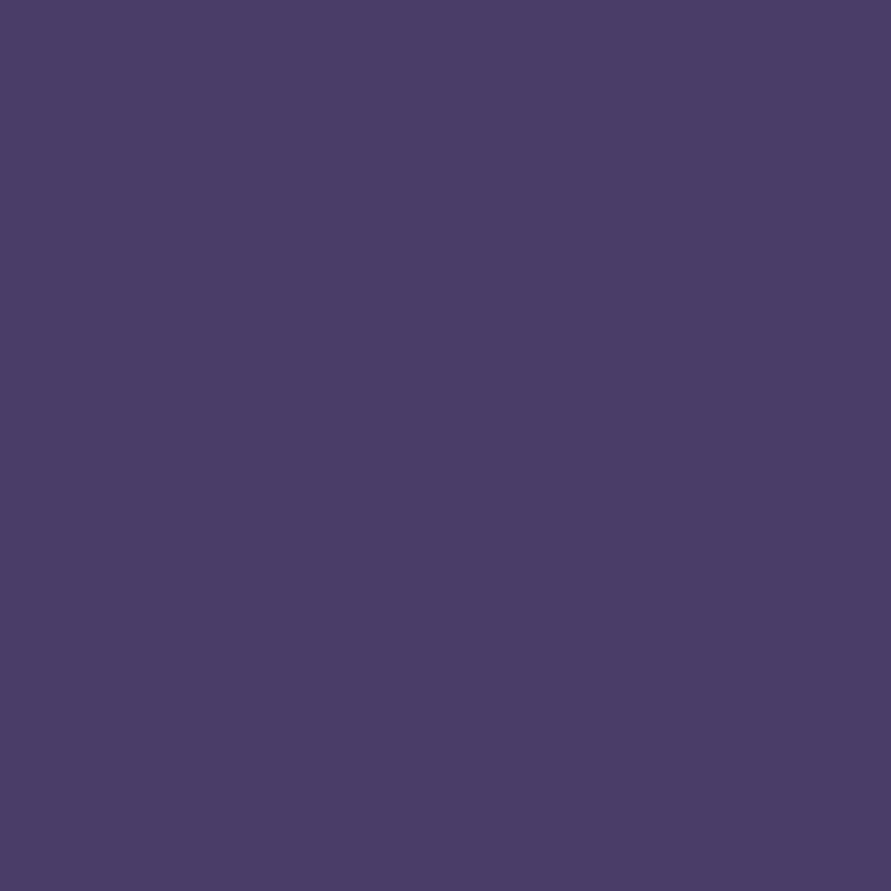 Peinture Acrylique, 17ml, Violet - PRINCE AUGUST P960