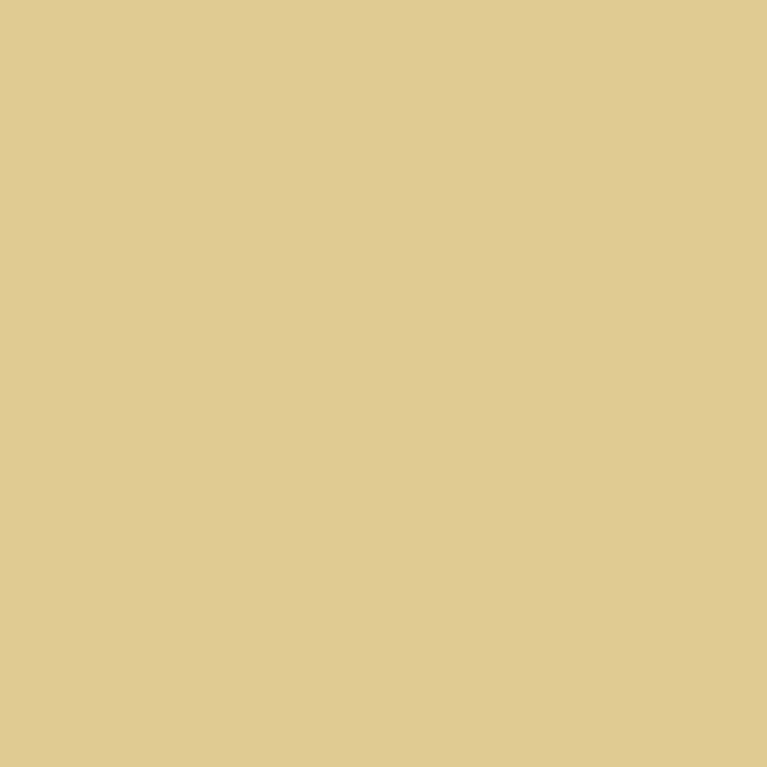 Peinture Acrylique, 17ml, Beige - PRINCE AUGUST P917