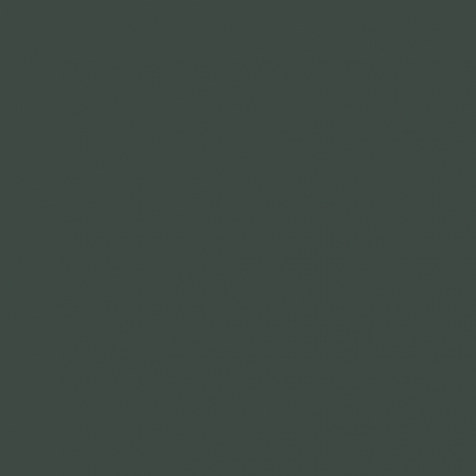 Peinture Acrylique, 17ml, Vert Noir – Emp. Russe Chasseur - PRINCE AUGUST P980