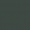Peinture Acrylique, 17ml, Vert Noir – Emp. Russe Chasseur - PRINCE AUGUST P980
