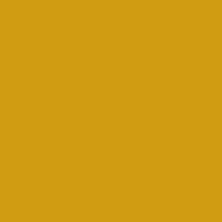 Peinture Acrylique, 17ml, Brun Peste - PRINCE AUGUST PG039