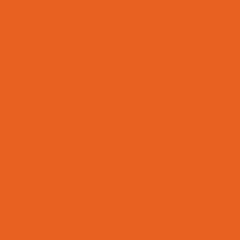 Peinture Acrylique, 17ml, Orange feu - PRINCE AUGUST PG008