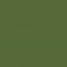 Peinture Acrylique, 17ml, Extra Opaque Vert - PRINCE AUGUST PG146