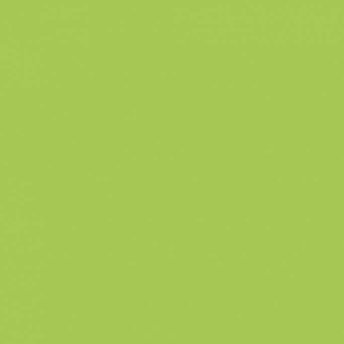 Peinture Acrylique, 17ml, Vert Fluo - PRINCE AUGUST PG104