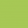 Peinture Acrylique, 17ml, Vert Fluo - PRINCE AUGUST PG104