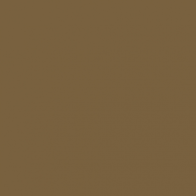 Peinture Salissure, 17 ml - PRINCE AUGUST P133