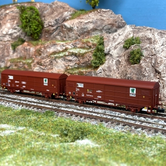 2 wagons couverts JPD livrée rouge brun "Cantabrasil", Renfe, Ep IV - ARNOLD HN6578 - N 1/160