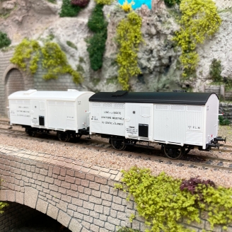 2 wagons réfrigérant "Abattoirs industriels du centre" PLM, Ep II - REE WB766 - HO 1/87