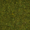 Flocages herbe sauvage "prairie" 9 mm 50g - NOCH 07117 - Toutes échelles