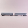 2 wagons tombereau Tams gris, Ermewa, Ep V - REE WBSE010 - HO 1/87