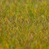 Flocages herbe de pré vert clair premium-toutes échelles-FALLER 180484