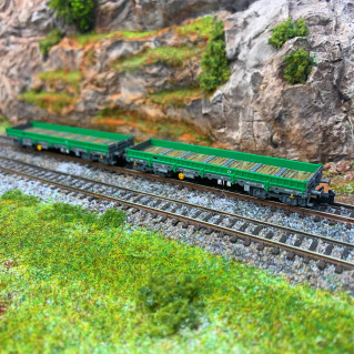 Arnold HN6543 Set De 2 Wagons Plats à Ridelles V, Chargé De Trave En Beton Echelle N