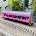 Wagon à parois coulissantes Hbbillns avec graffitis, SBB , Ep VI - ALBERT MODELL 245038 - HO 1/87