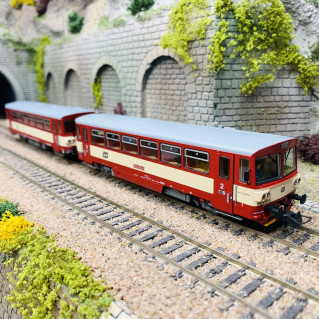 Autorail Roco 810 365-7 + Remorque – HO 1/87 – ZSSK – Neuf