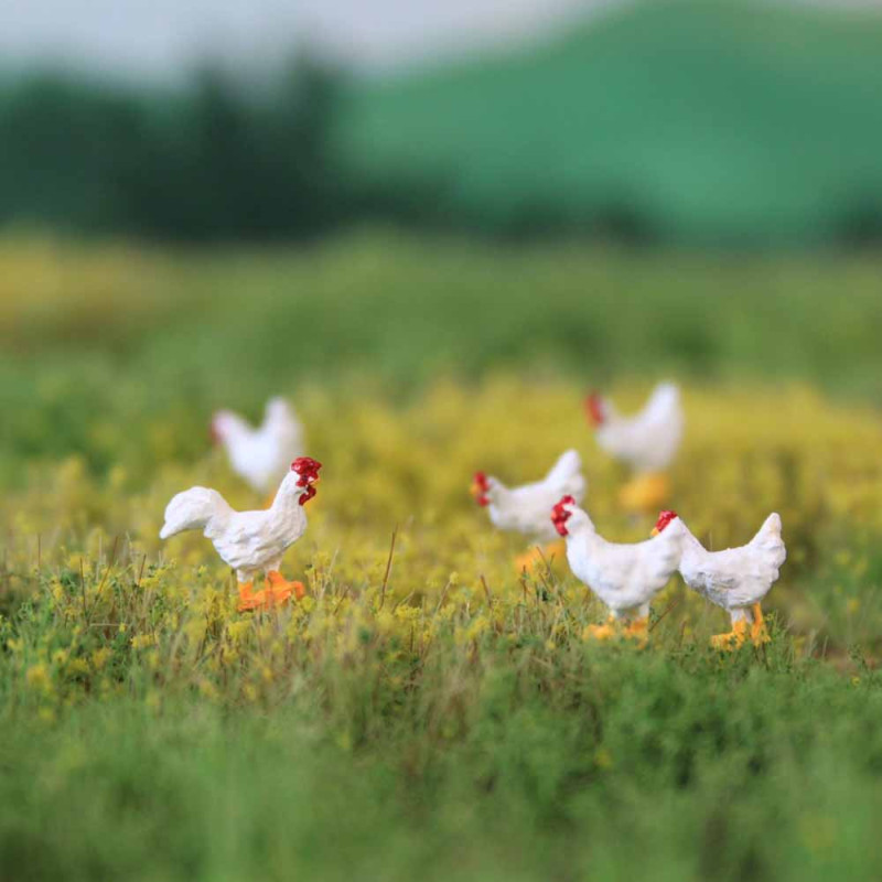 5 poules et un coq Leghorn de bassecour - VAN PETERGEM SCENARY HOK12 - 1/87