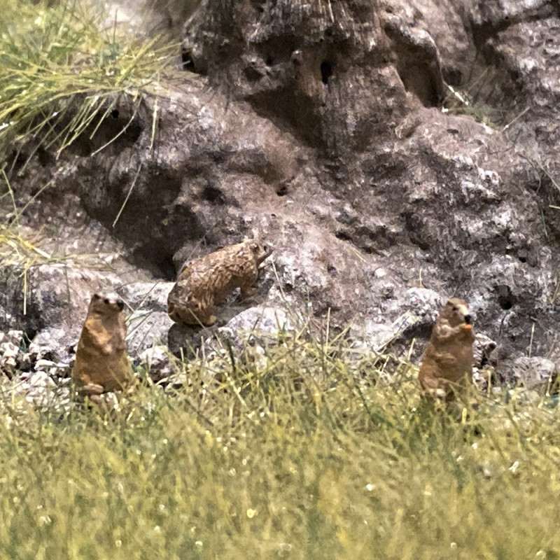 3 marmottes aux aguets - VAN PETERGEM SCENARY HOK21 - HO 1/87