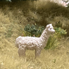 1 lama à laine blanche - VAN PETERGEM SCENARY 00B21 - HO 1/87