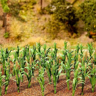 Plans de maïs pour création d'un champ-HO-1/87-FALLER 181250