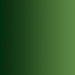 Vert forêt, 18ml Xpress Color Intense - VALLEJO 72.465-177