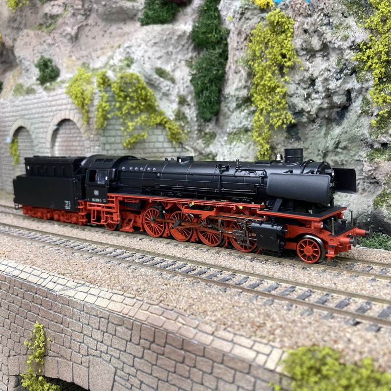 Réseau Ferroviaire «Gare Centrale De Neupreussen» - Trains Piko Et Locomotives Roco A Lechelle Ho