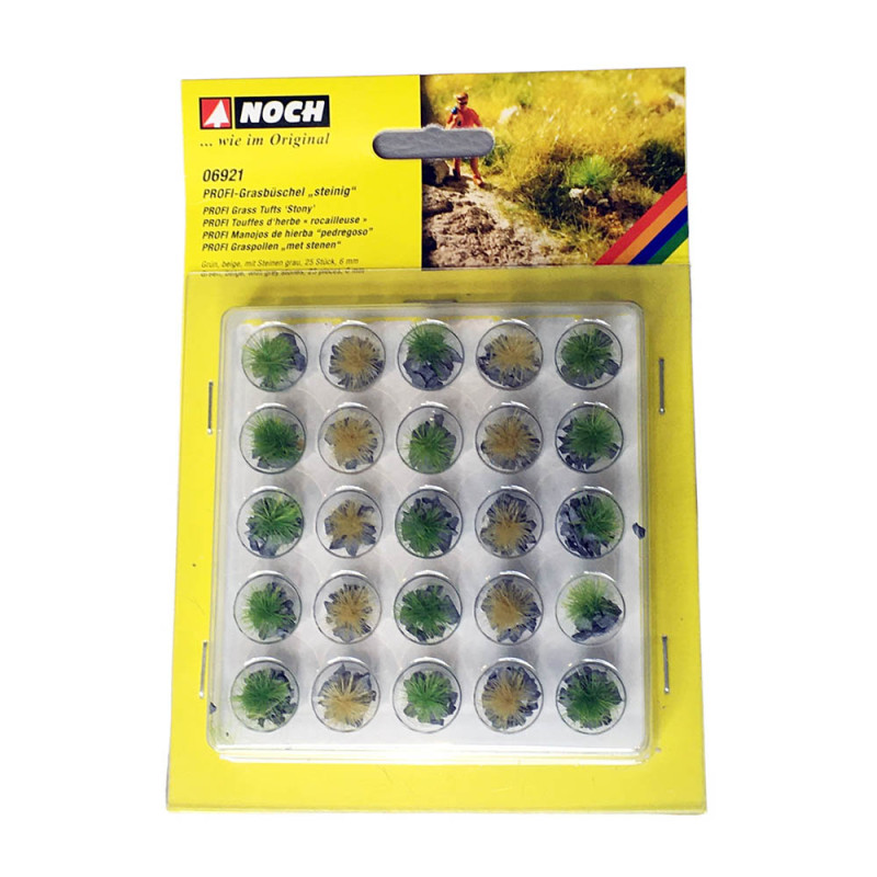 NOCH 07014 Touffes D'herbes " Fleur Sauvage " - Slot Car-Union