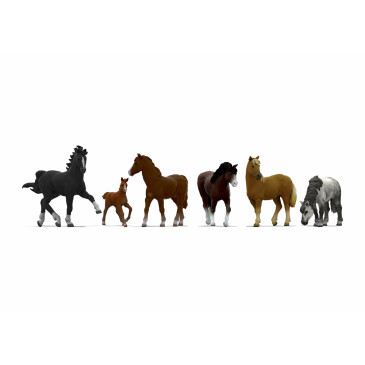 6 Chevaux - NOCH 44542 - Z 1/220