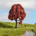Arbre Hêtre rouge, hauteur 10 cm "Noch Master" - NOCH 20151